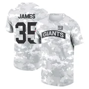 Men's LaMareon James New York Giants Camo Arctic 2024 Salute to Service Performance T-Shirt